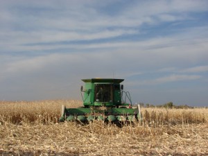 Corn acres are up in Northwestern Minnesota, which means more demand for corn research and information.