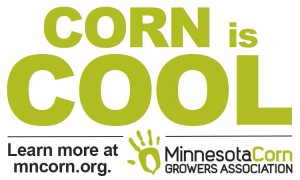 Corn is Cool