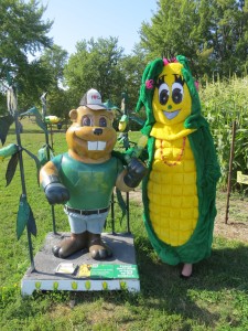 Corn Farming Goldy