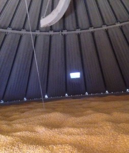 Corn Bin
