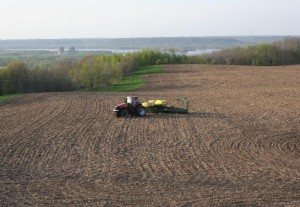Minnesota Corn Buffer Strip