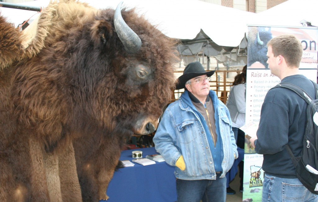 The MN Bison Association wasn't far from MCGA's booth at Ag Awareness 2015. 