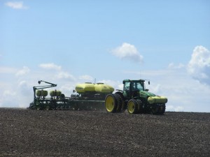 MN corn planting