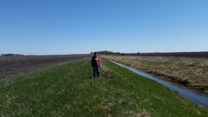Mark Nowak has over 6,000 feet of buffer strips on his farm in Faribault County. Here is standing in on one.