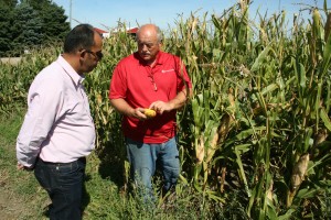 MCGA farmer-leader Dwight Mork talking with Ahmed Mohamed Abdelkader of Egypt near one of Mork's corn fields in Bellingham, Minn.