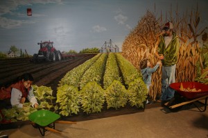 Agriculture is an important part of the Children's Museum of Southern Minnesota. MCGA made a major capital donation to help fund the museum.