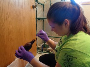 Here is Anna prepping bottles for her Minnesota 4H Science of Ag Challenge project.