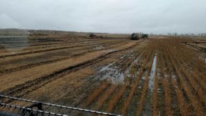 Battling wet conditions, harvest 2016
