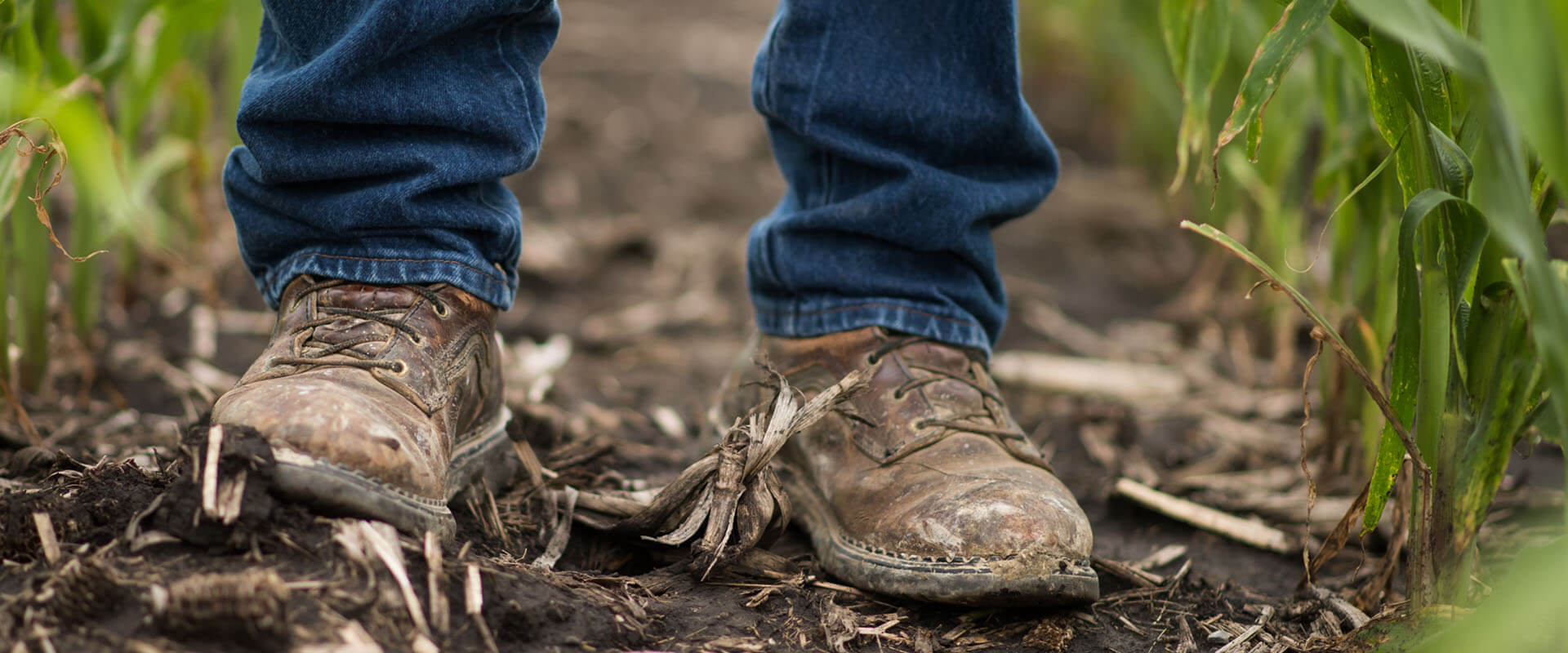 Mental Health Awareness