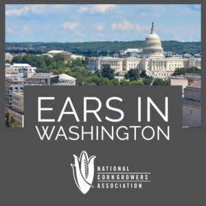 Ears in Washington