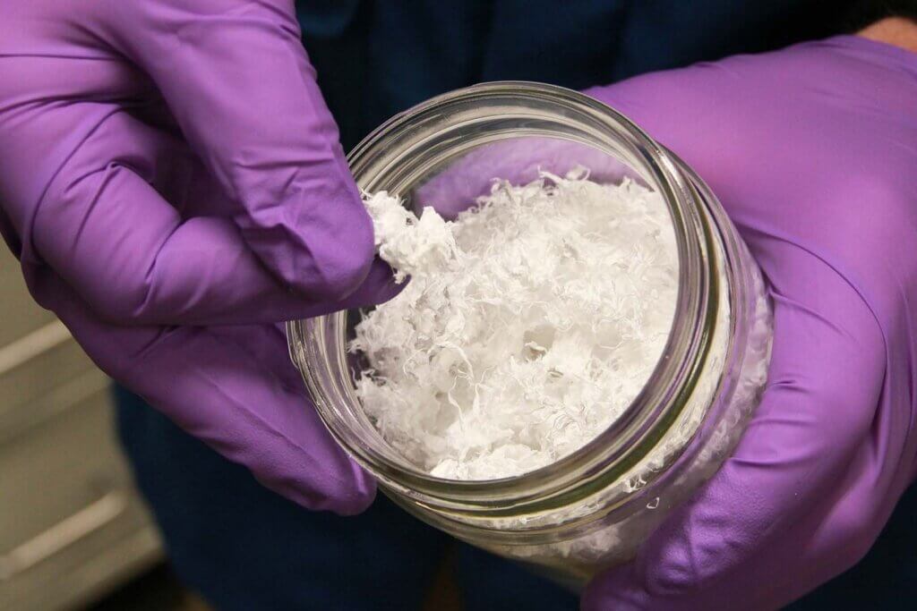 Researcher showing corn based plastics