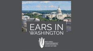 Ears in Washington