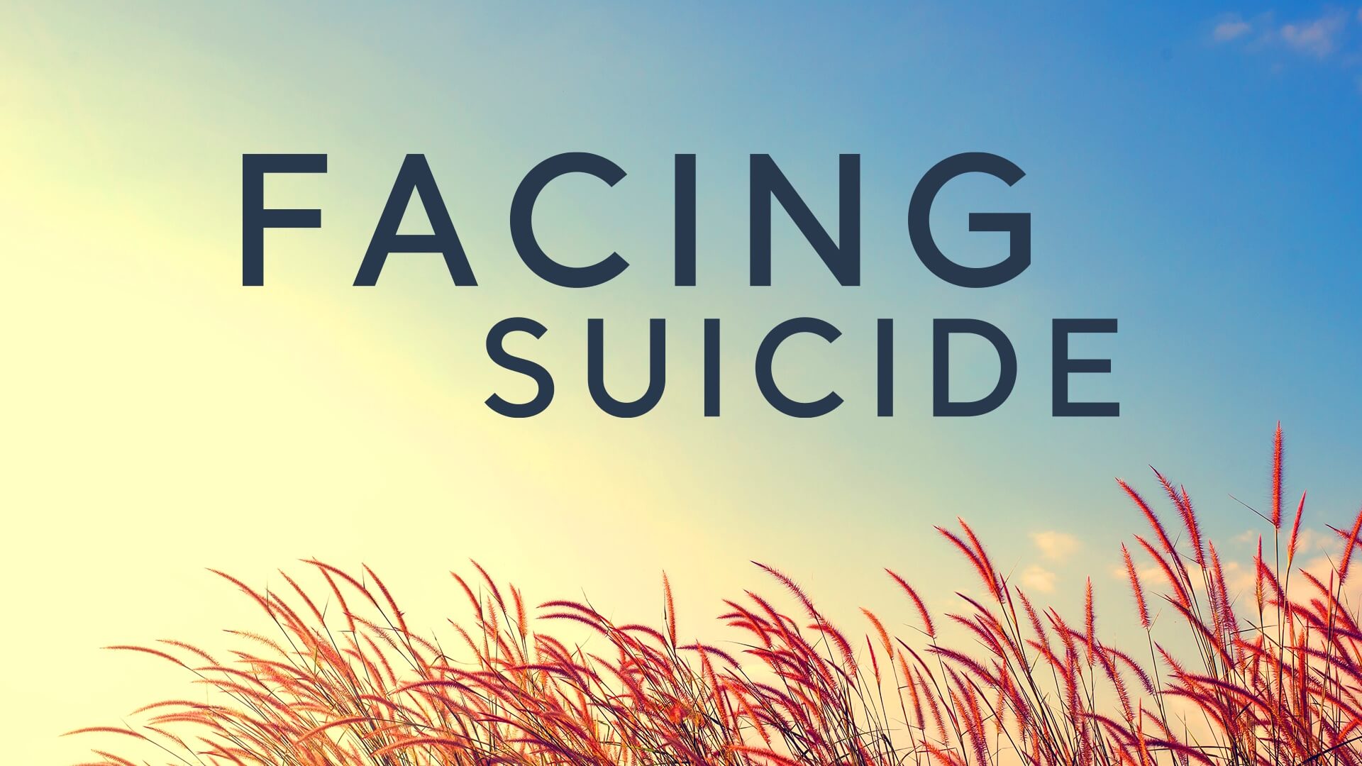 Facing Suicide preview image