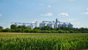 Corn field in front of an ethanol plant