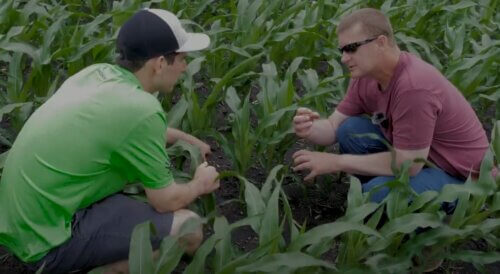 Nate Gotlieb and Brandon Fast talk about mid season crop care during Nate on the Farm.